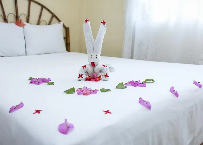 Hotel Diamante 3*